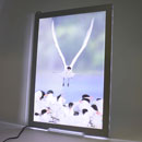 LED Acrylic Frame w/Stand/Standoff/On-off Switch 13.75"x18.5"